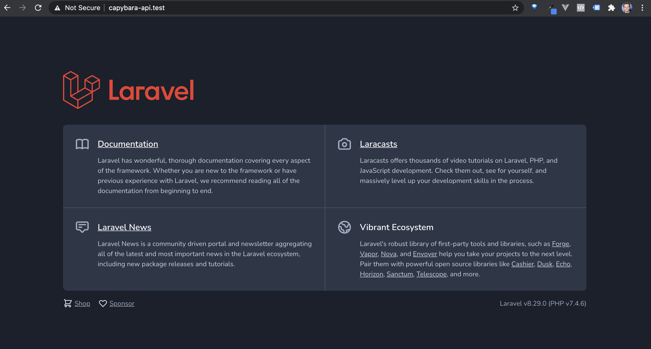 Laravel starter app home screen Valet